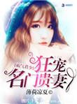 霸气君少狂宠名门贵妻类似