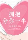 拥抱分你一半讲了什么