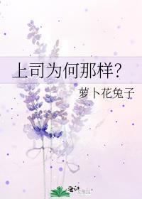 上司为何那样?百度