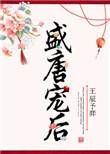 盛唐rc
