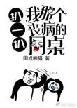扒一扒我那丧病的同桌书包网