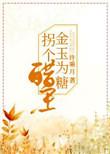 金玉为糖拐个醋王百度