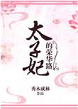 太子妃荣华记