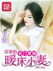 名门婚宠第一夫人免费阅读