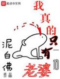 我真的只有一个老婆番外篇