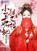小王妃又被揍啦 作者霁色冥鸿