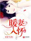 暖妻入怀