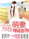 婚命难为boss下聘9亿9