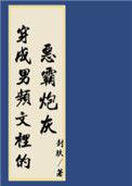 穿进男频搞建基建 宝书网
