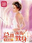再嫁总裁二婚新妻