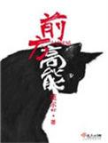 前方高能电视剧全集播放免费观看