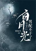 白月光男配不干了的作者是谁