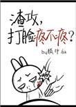 渣攻打脸成神