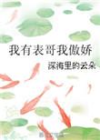 我有表哥我傲娇全文免费