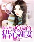总裁的七夜欢寻
