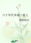 六十年代幸福一家人讲的是什么