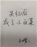 失忆后成了小白菜笔趣阁