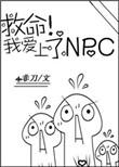 我爱上了一个npc