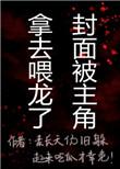 龙骑士每日训练心得怎么写