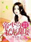 深度蜜宠偏执帝少霸宠妻