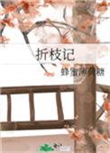 折枝记蜂蜜薄荷糖txt