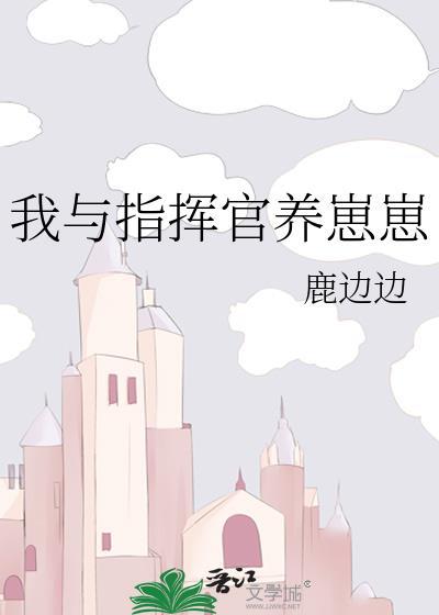 指挥官零txt精校