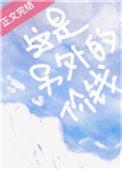 这是另外的价钱图片