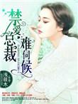 禁爱总裁太霸道全文免费阅读txt