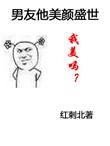男友他美颜盛世全文免费
