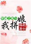 穿越之莫与我拼娘307