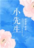 小先生游戏安装