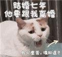 结婚七年离婚了财产怎么分