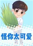 怪你太可爱大结局