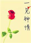 一见钟情gl