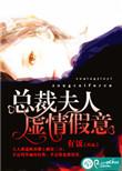 总裁夫人的意思