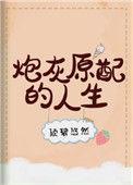 炮灰原配的人生全文阅读