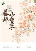 王爷的暴躁小娇妻
