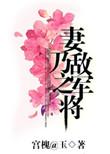 妻乃敌军之将 百度