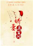 娇妻三十三次出逃短剧第11集