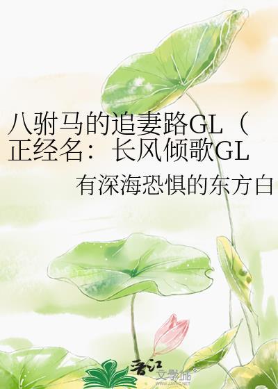八个驸马8V1
