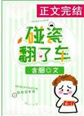 碰瓷翻了车阅读