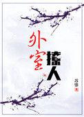 外室无防盗