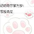 荷尔蒙完整