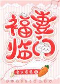 福妻临门免费阅读全文茶花