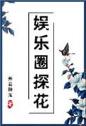 娱乐圈探花