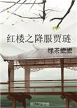 红楼之贾瑝