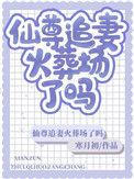 仙尊老婆追杀
