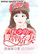 权少王牌宠妻全文免费阅读全文