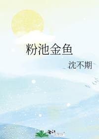 粉池金鱼沈不期免费阅读