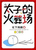 太子火葬场实录全文免费阅读